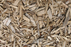 biomass boilers Craigerne